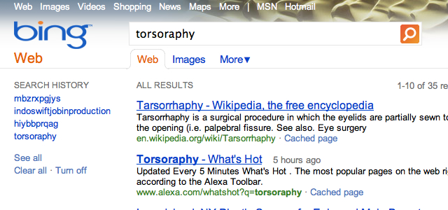 torsoraphy bing Bing está copiando nossos resultados de pesquisa, diz Google